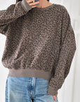 Sweatshirt, Leo, 3 Farben